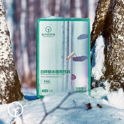 【远方检测SGS3项防腐剂未检出来自小兴安岭 天然小分子桦树水】天然无污染小分子水 富含多种植物营养 泡茶 煮饭能更好激发香气 老少皆宜 商品图2