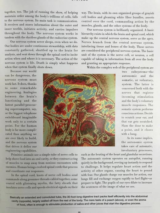 不可思议的旅程：人体探索 300幅插图 精装16开 商品图11