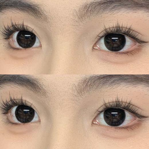 Favorr Beauty 年抛 梦回女高  直径14.5mm着色13.8mm 商品图13