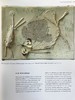 巴黎毕加索博物馆图集 百余幅插图 平装大16开 商品缩略图6