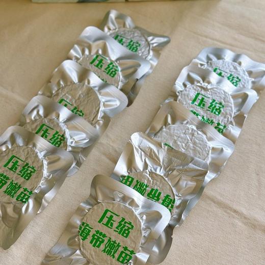 【远方检测SGS308项农残未检出霞浦有机海带苗】产自中国海带之乡 10年坚守有机种植 压缩海带苗 12g*10包|海鲜频道 商品图2