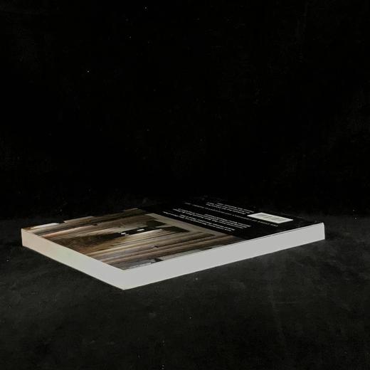 从次要到主要：中世纪艺术史上的次要艺术 约百幅插图 平装16开 商品图2