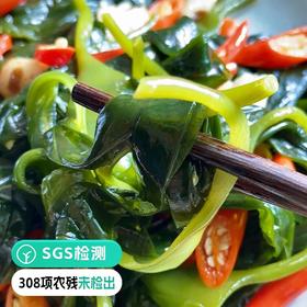 【远方检测SGS308项农残未检出霞浦有机海带苗】产自中国海带之乡 10年坚守有机种植 压缩海带苗 12g*10包|海鲜频道
