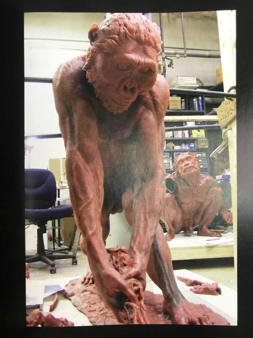 塑造人类：科学、艺术与想象如何帮助理解我们的起源 数百幅插图 精装16开 商品图10