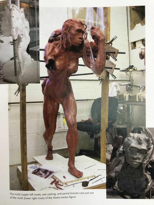 塑造人类：科学、艺术与想象如何帮助理解我们的起源 数百幅插图 精装16开 商品图7