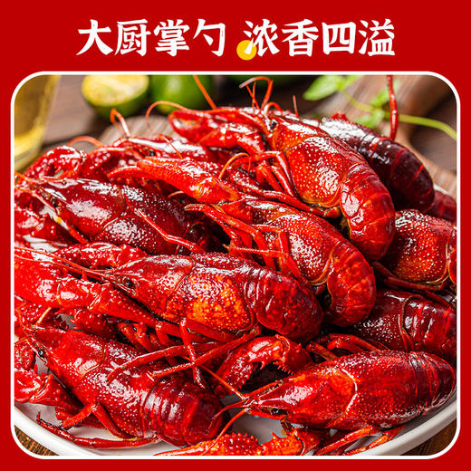【顺丰快递】湖北潜江麻辣小龙虾（4-6）钱 750g*盒 加热即食 商品图6