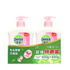滴露抑菌洗手液(滋润/呵护)450g+450g 商品缩略图0