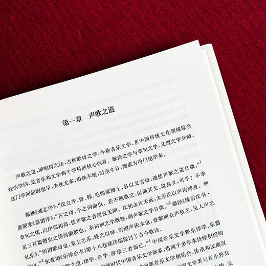 中国音乐文学 精装 中国传统文化 音乐文学经典歌诗作品 商品图9