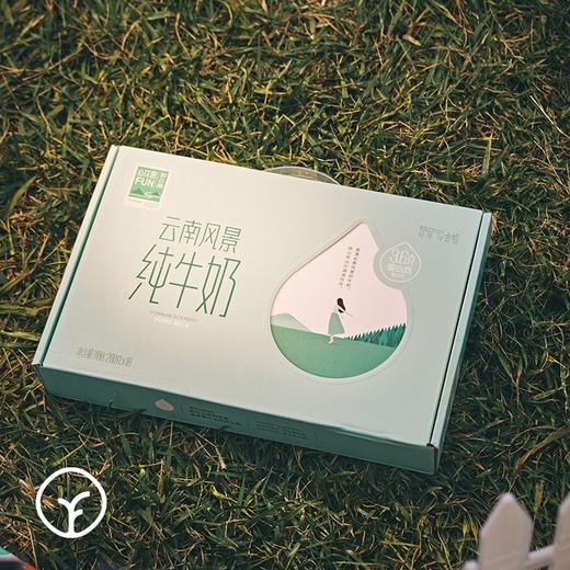 【远方检测11项激素/30项兽残等均未检出 无添加无防腐新希望集团来自云南高原纯正味道】3.6g高蛋白全脂纯牛奶10瓶/箱*1箱 商品图3