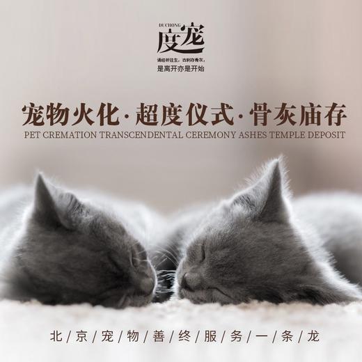 度宠北京宠物火化/宠物殡葬/超度仪式/骨灰庙存服务 商品图2