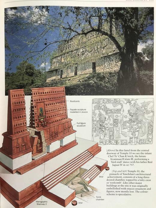 玛雅国王与王后编年史：解读古代玛雅王朝 数百幅插图 精装16开 商品图6