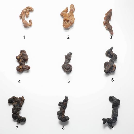 安徽九华山黄精黑麻丸、非遗技艺，一蒸至九蒸，经历49 天的工艺，繁工不减 商品图8