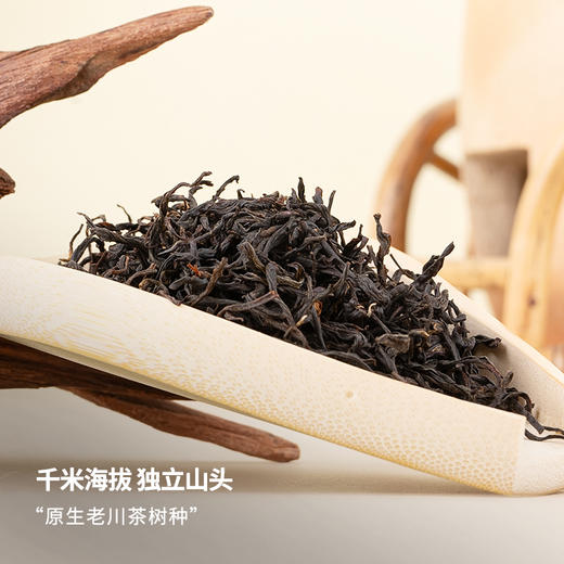四川红茶2025年春茶原生老川茶焦糖甜香薯香川红工夫课代表 商品图1