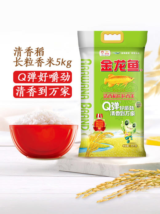 金龙鱼清香稻长粒香米5KG 商品图0