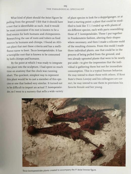 塑造人类：科学、艺术与想象如何帮助理解我们的起源 数百幅插图 精装16开 商品图11