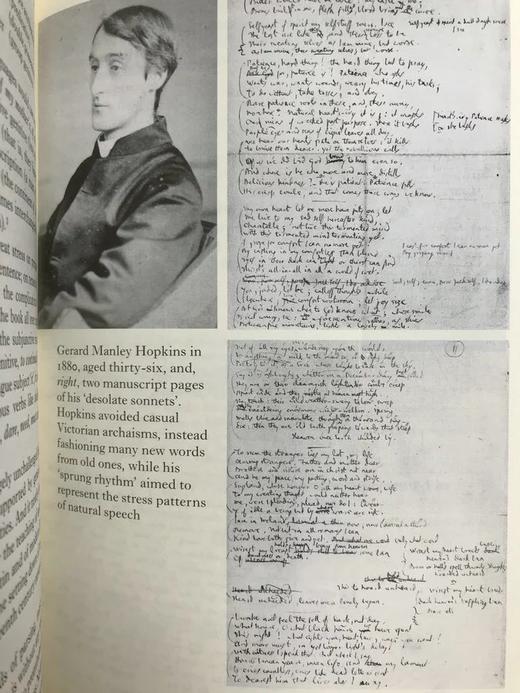 伯奇菲尔德《英语语言》（2008） 配多幅插图 精装18开带书匣 商品图8