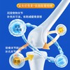 宝莱美露鲨鱼软骨素钙片200片 补钙强健关节 犬猫通用 工厂直供 一手货源！ 商品缩略图2