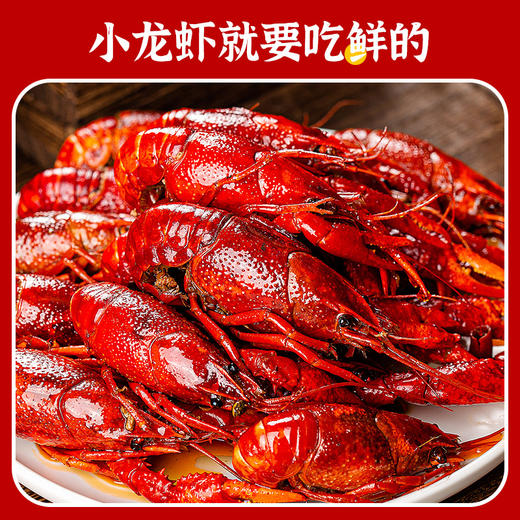 【顺丰快递】湖北潜江麻辣小龙虾（4-6）钱 750g*盒 加热即食 商品图2