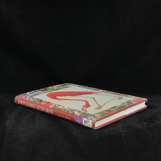 约翰·詹姆斯·奥杜邦画集 104幅插图（55幅彩色） 精装大16开 商品图1