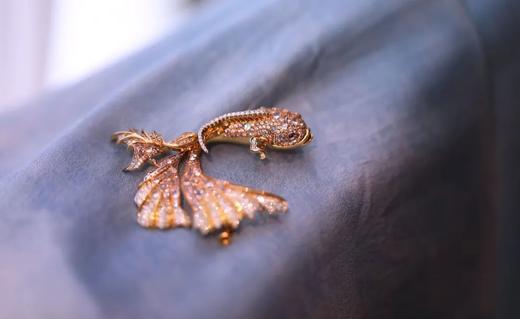 月之斗鱼 ｜ 斗鱼家族的月亮女神 商品图1