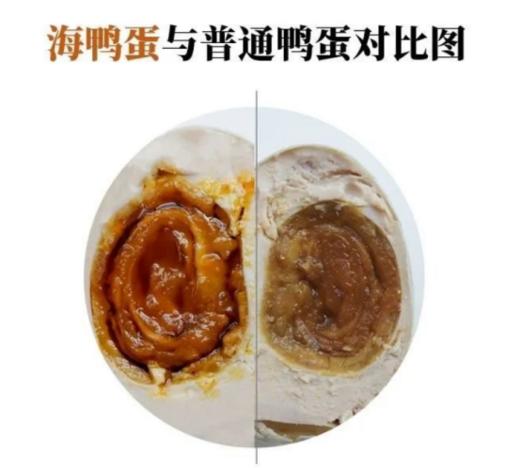 严选 | 涠洲船说烤海鸭蛋 咸淡适中 鲜香美味 香醇沙糯 商品图3