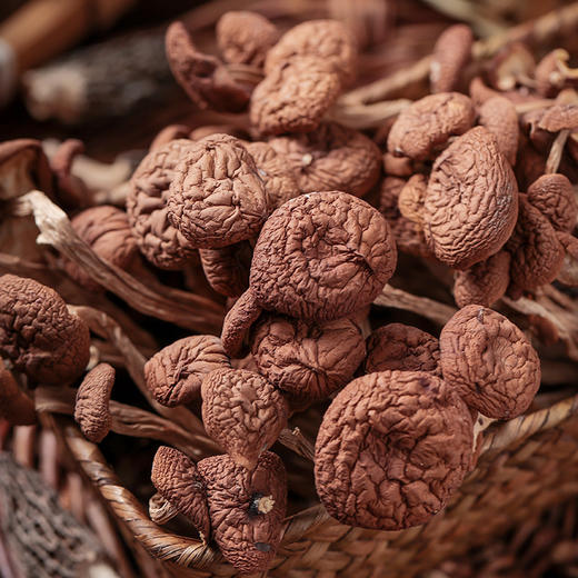 五峰高山干茶树菇200g 煲汤炖火锅 商品图1