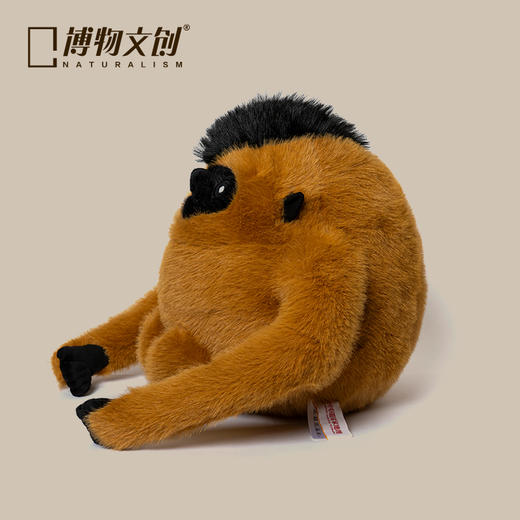 博物文创 圆宝系列海南长臂猿毛绒玩偶节日礼物 商品图1