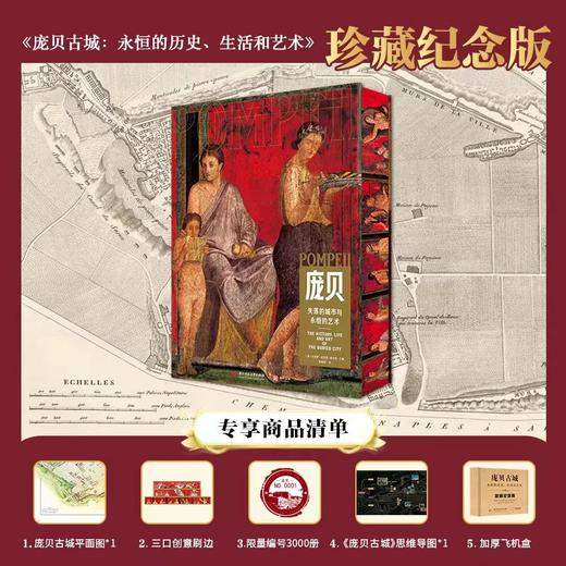 【纪念珍藏版】庞贝古城 : 永恒的历史、生活和艺术 商品图0