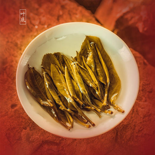 中茶 2022年飞天大红印普洱茶生茶 印级传承系列 2024小饼时代礼盒64克 商品图2