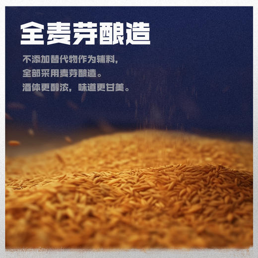 「汪苏泷代言」珠江啤酒 12.3°P（1985）640mL*12瓶整箱全麦酿造 经典传承 匠心佳酿 商品图5