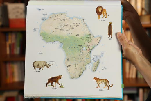 【精装大开本】地图上的全景中国地理+地图上的全景世界地理（全4册） 赠AR科技视频 商品图7