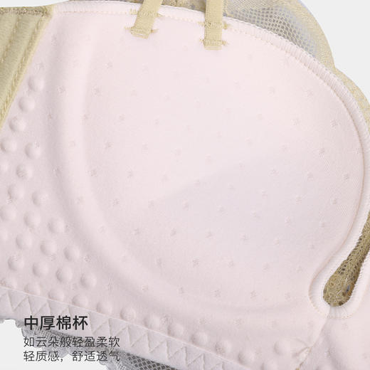 美季美优X撞色花边中厚定型杯文胸W452A02 商品图2