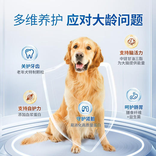 【试吃装】伯纳天纯宠物狗粮通用高龄6岁以上金毛阿拉斯加泰迪老年犬专用狗粮300g 商品图3
