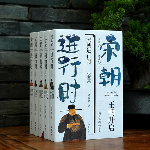 宋朝进行时 （五部曲 ）王朝开启 人文鼎盛 变法风云 偏安江南 神州陆沉 宋朝历史故事书籍 商品图2