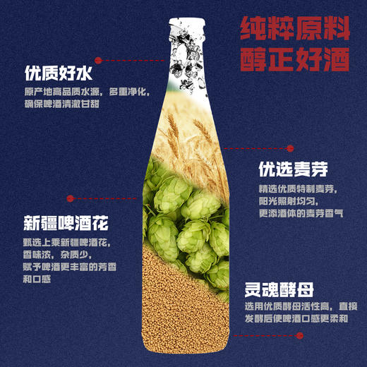 「汪苏泷代言」珠江啤酒 12.3°P（1985）640mL*12瓶整箱全麦酿造 经典传承 匠心佳酿 商品图7