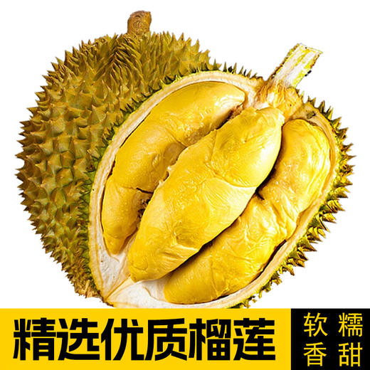 【拼团78元/颗】金枕一级榴莲1颗 (3斤，超重部分店内补差价)【当天可提货】 商品图0