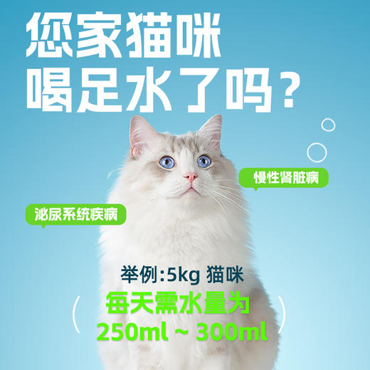 吉芙宠物零食补水汤包成猫幼猫营养湿粮猫咪用肉汤罐头拌猫粮100g 商品图1