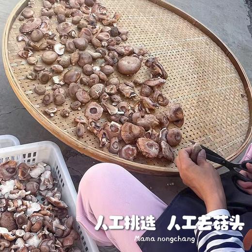生态香菇干2袋（100g/袋*2）【产地直发】@妈妈农场 商品图2