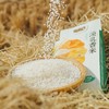 【远方检测SGS308项农残未检出定制天选新疆沙漠乳香米】蒋志农教授几十载潜心育种 色如羊脂 饭若美珀 -口难忘 2.5kg/袋 商品缩略图2