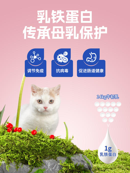 吉芙鲜肉低温烘焙幼猫粮无谷猫咪主粮英短美短成猫食品1.5kg 商品图2