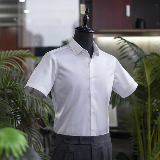 NEP 大众型标准剪裁男长袖/短袖衬衫DP全免烫工艺 多色可选 商品图4