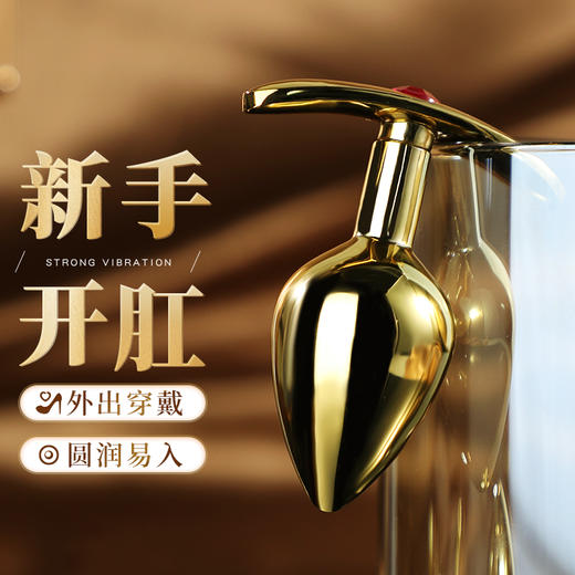 谜姬 船锚镀金金属后庭肛塞 调教调情SM男女通用新手小号外出穿戴女用调教夫妻房事前戏性辅助工具女性成人情趣用品扩肛 商品图0