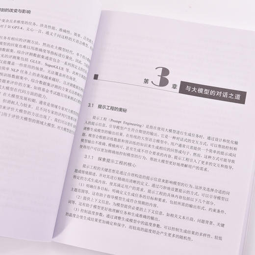 大模型入门 技术原理与实战应用 LLM提示工程师ChatGPT大模型应用开发LangChain计算机机器深度学习人工智能 商品图4