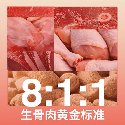 吉芙主食生骨肉冻干全价猫粮鸡肉兔肉8:1:1黄金生骨肉配方300g 商品图1