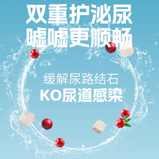 吉芙宠物零食补水汤包成猫幼猫营养湿粮猫咪用肉汤罐头拌猫粮100g 商品图2