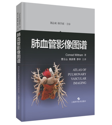 肺血管影像图谱