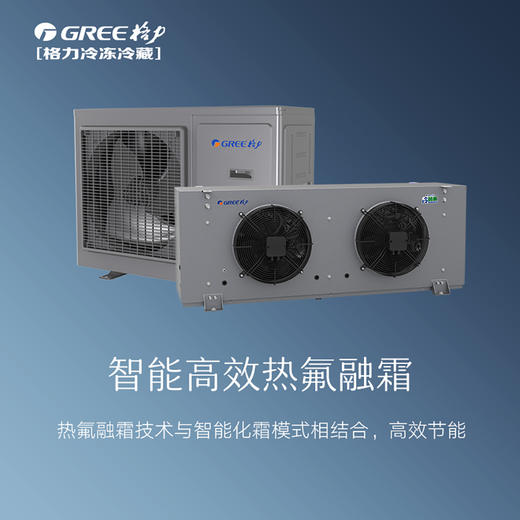 格力·集成式热氟融霜制冷机组（集控系列）GNJ-QFT12CG/NaRH 商品图3