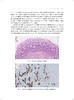 数字病理学概论 适合病理从业人员医疗机构管理者和IT工程人员行业管理和监督部门使用 上海科学技术出版社9787547865538  商品缩略图4