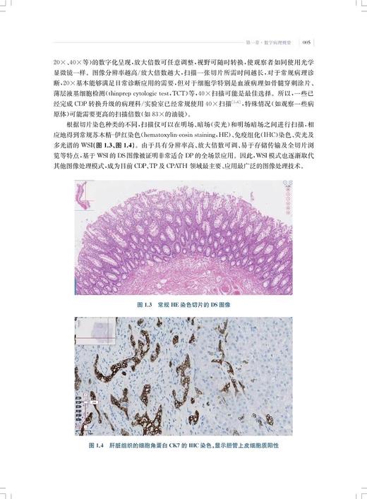 数字病理学概论 适合病理从业人员医疗机构管理者和IT工程人员行业管理和监督部门使用 上海科学技术出版社9787547865538  商品图4