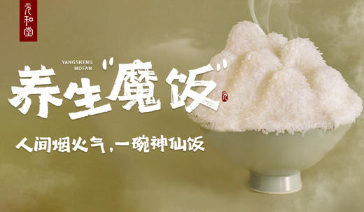 气吞山河饭：养气 商品图0